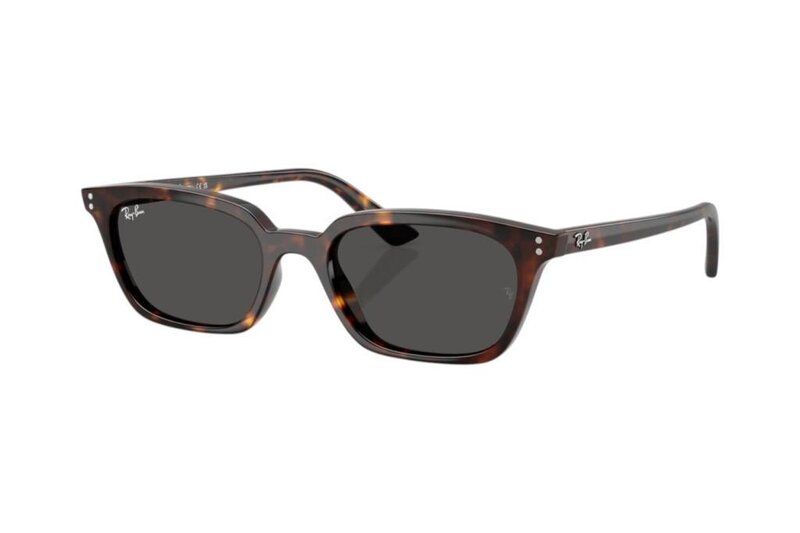 RAY-BAN 0RB4456 135987 50 Unisex Güneş Gözlüğü