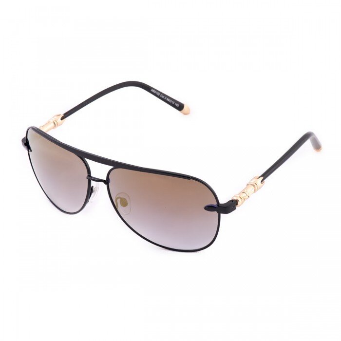 Aramis AR 4102 C03 Erkek Güneş Gözlüğü