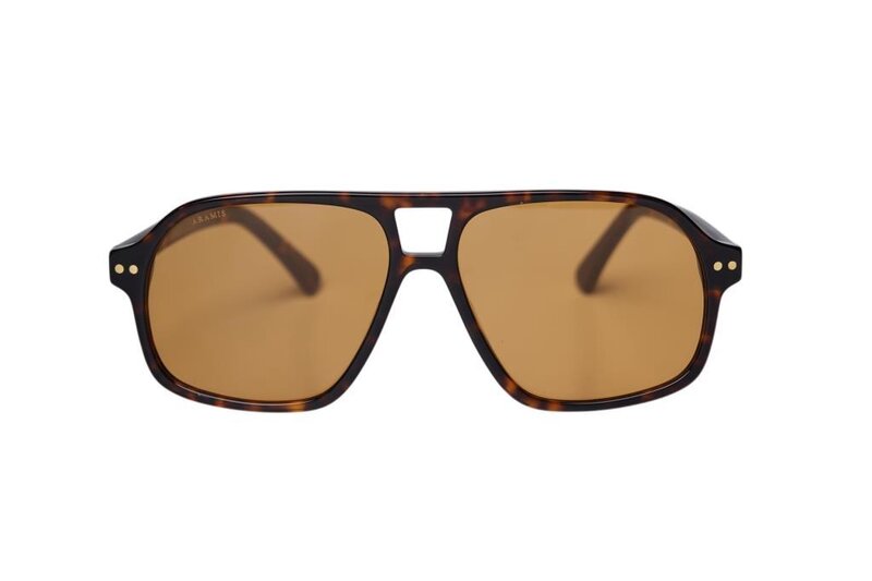 ARAMIS AR 2414 C5 58-14-148 Unisex Güneş Gözlüğü