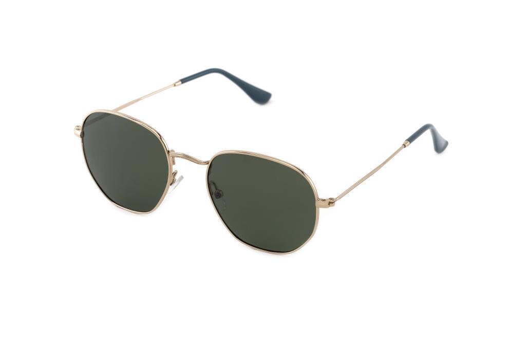 ARAMIS AR 2306 C03 53-22-140 Unısex Güneş Gözlüğü