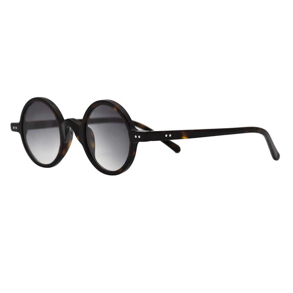 RETRO WILD XXV C03 Unisex Güneş Gözlüğü