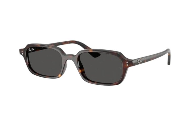 RAY-BAN 0RB4455 135987 49 Unisex Güneş Gözlüğü