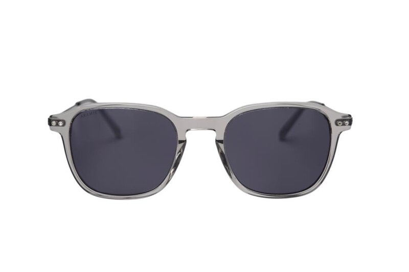 ARAMIS AR 2422 C02 50-20-145 Unisex Güneş Gözlüğü