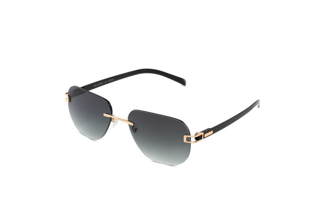 ARAMIS AR 3500 C04 53-18-140 Erkek Güneş Gözlüğü